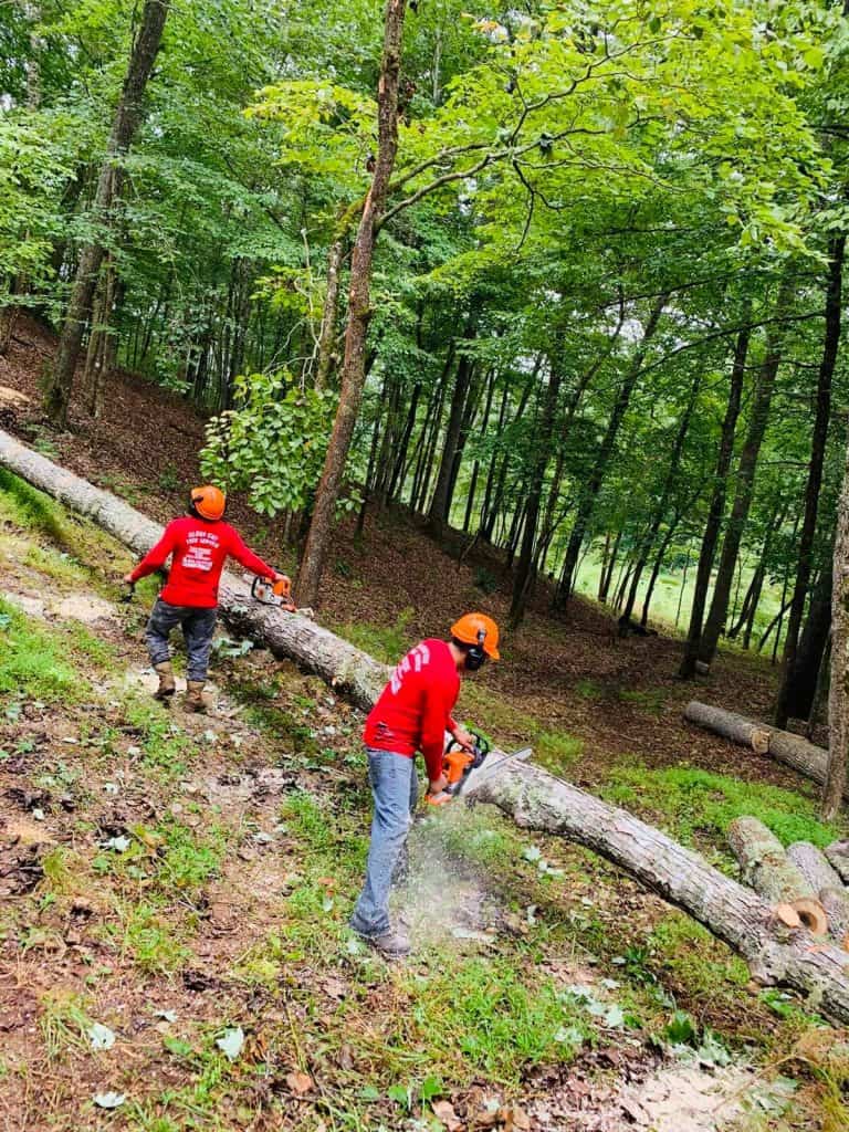 Chattanooga Tree Trimming