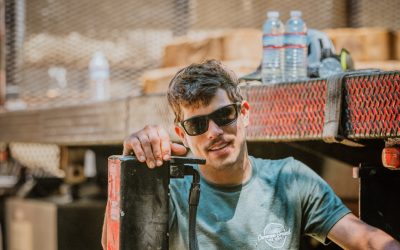 Finding a Budget Friendly Tree Service Professional