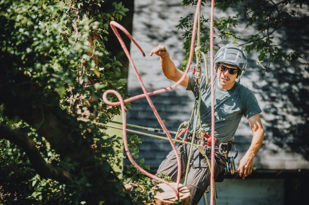 Tree Trimming Hixson