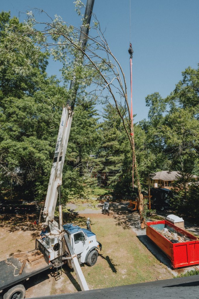 Tree Service Chattanooga