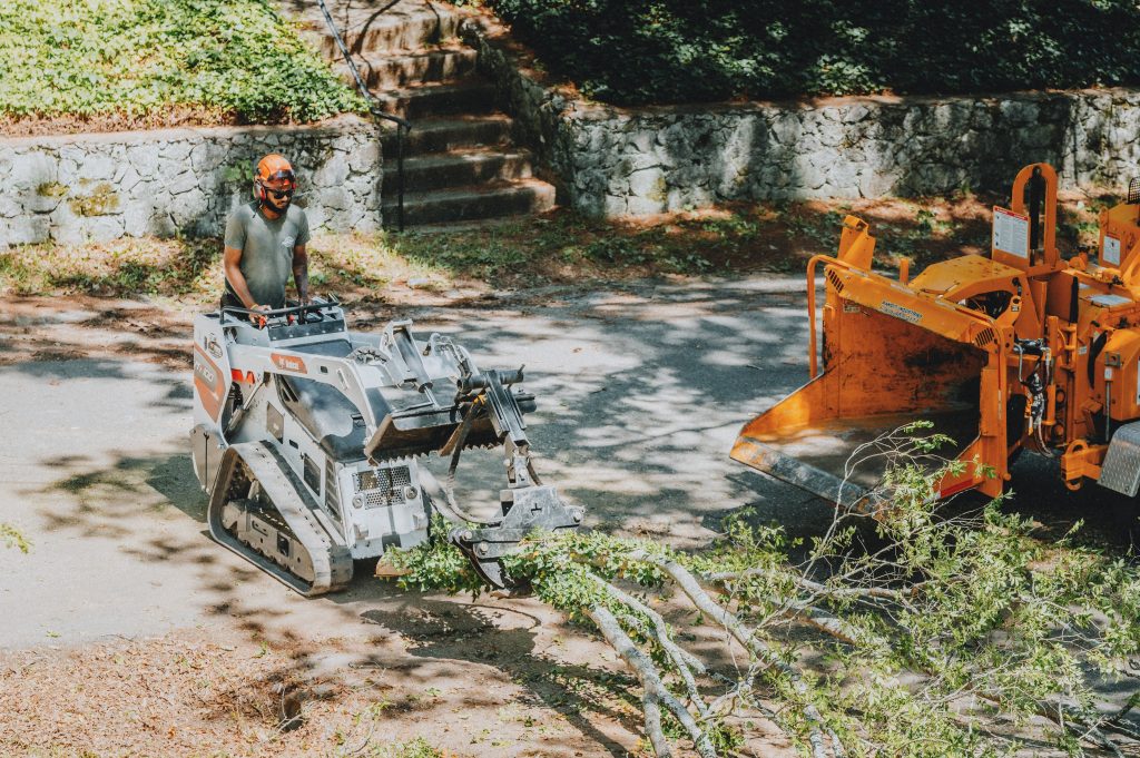Stump Grinding Hixson N