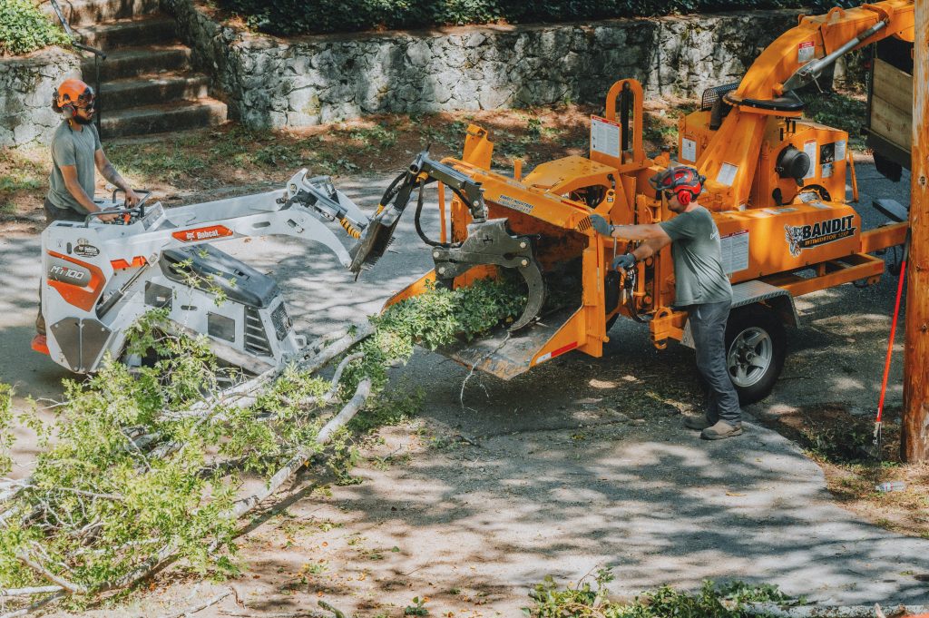 Tree Removal Chattanooga