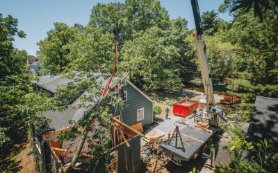 Reason To Work With A Tree Removal Service