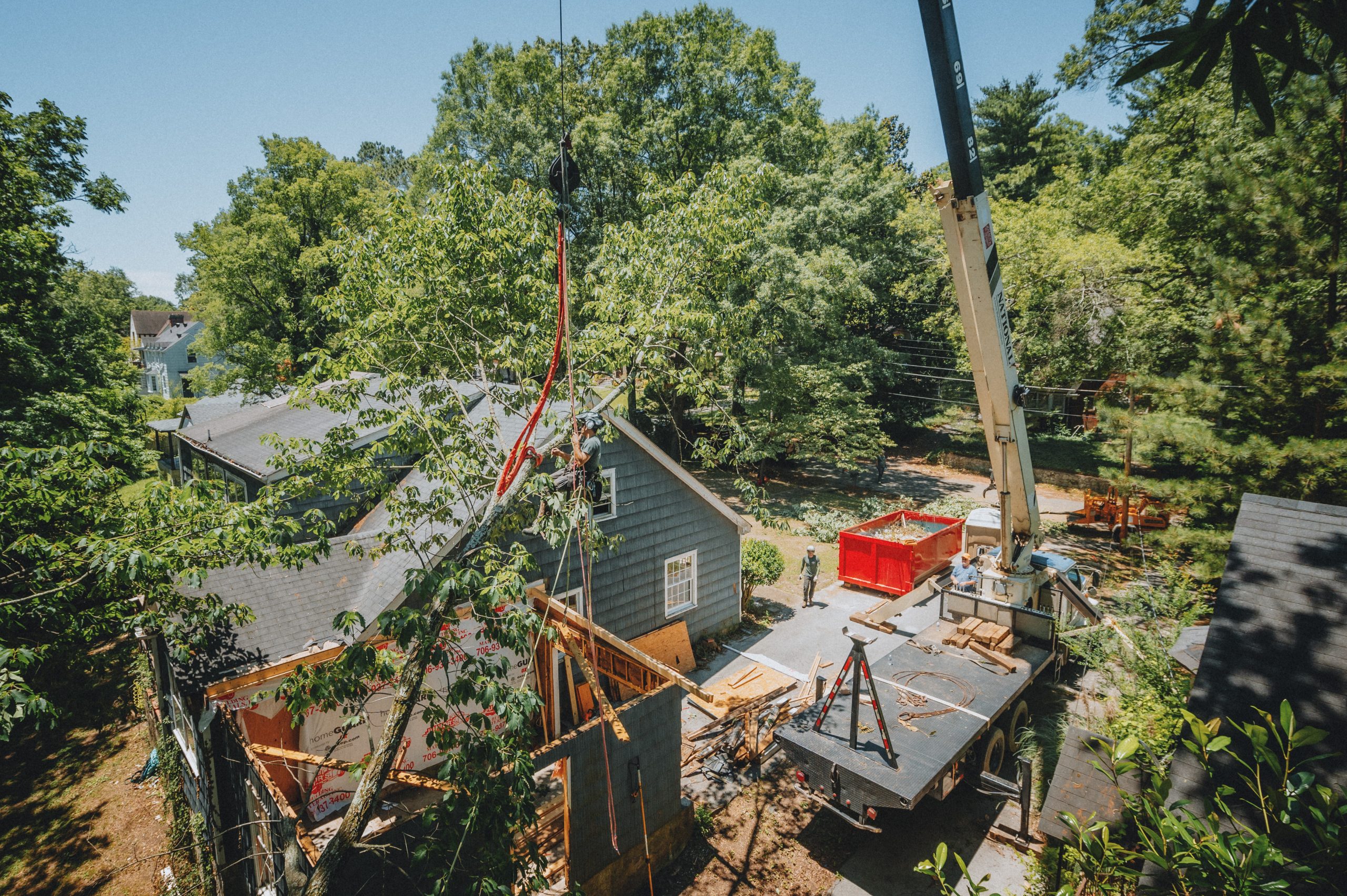 Tree Removal Chattanooga