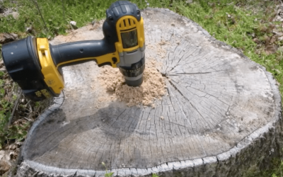 The Best Type of Grinder for Your Tree Stump