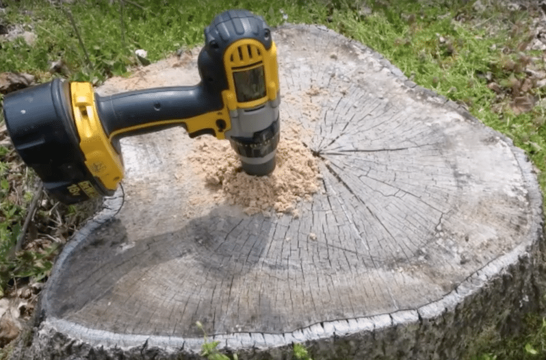 tree stump grinder