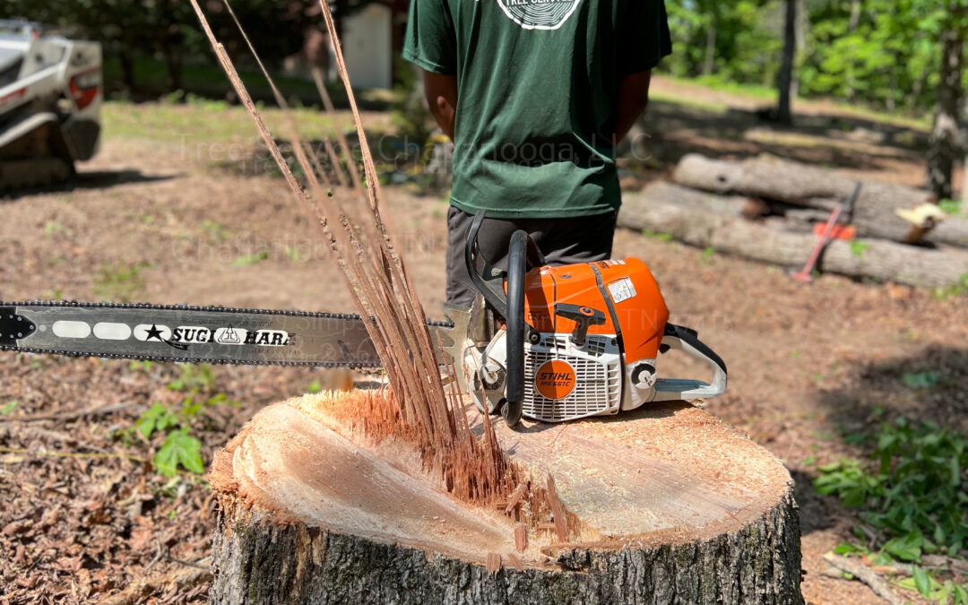 Make Stump Removal Easier With Services In Chattanooga