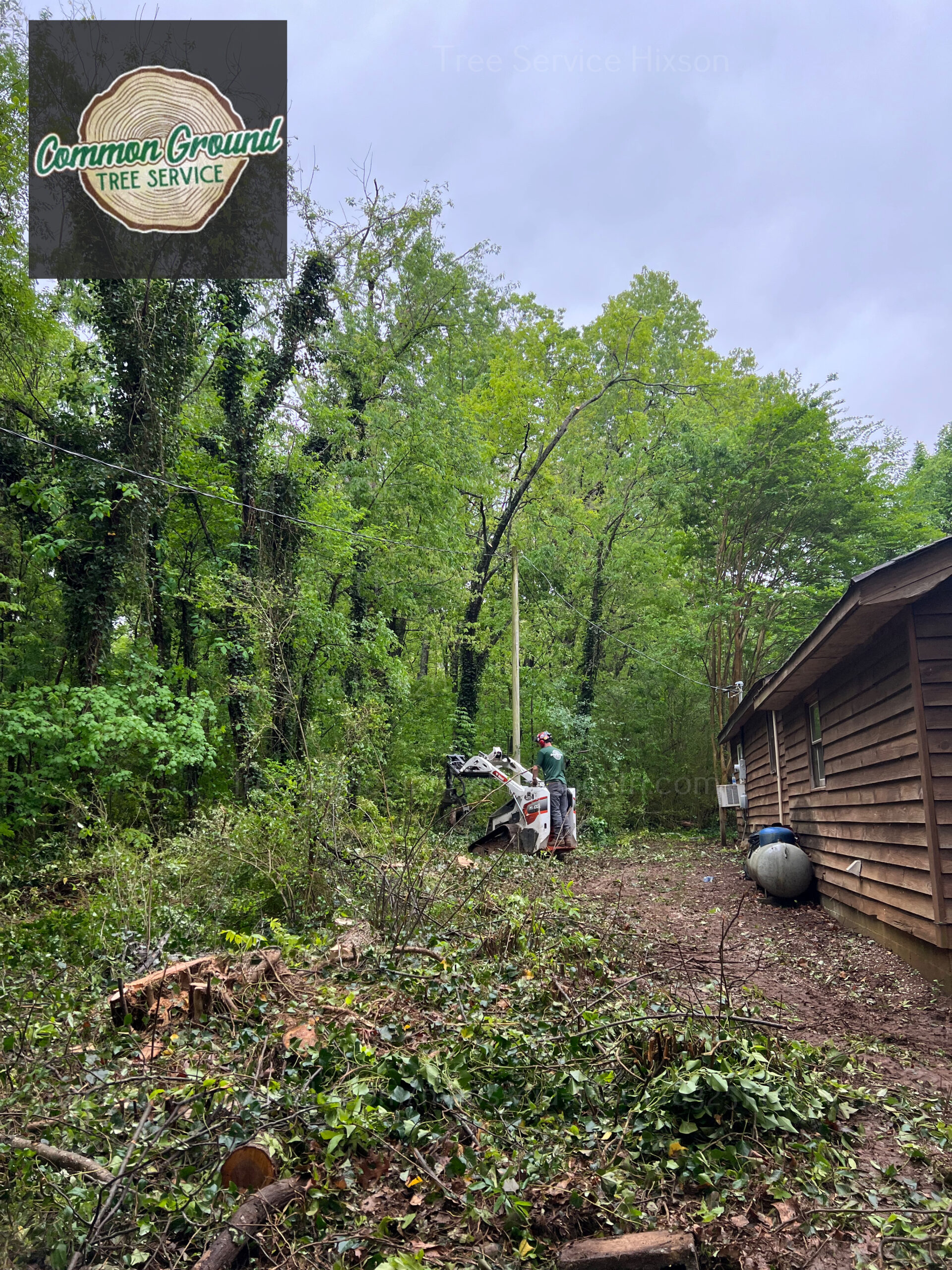 Tree-Service-Hixson