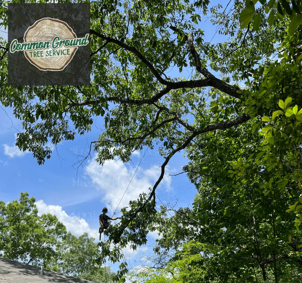 Crane Service Hixson