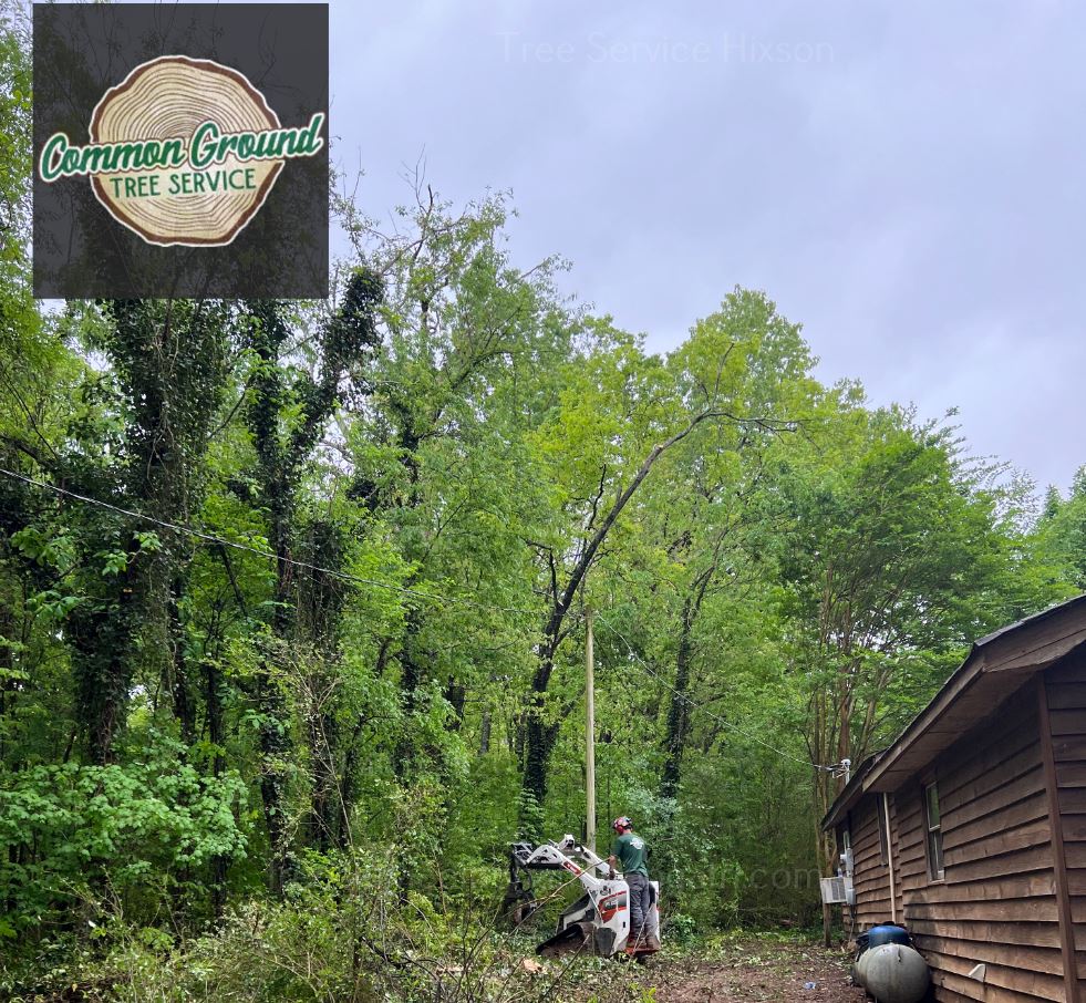 Hixson Tree Service