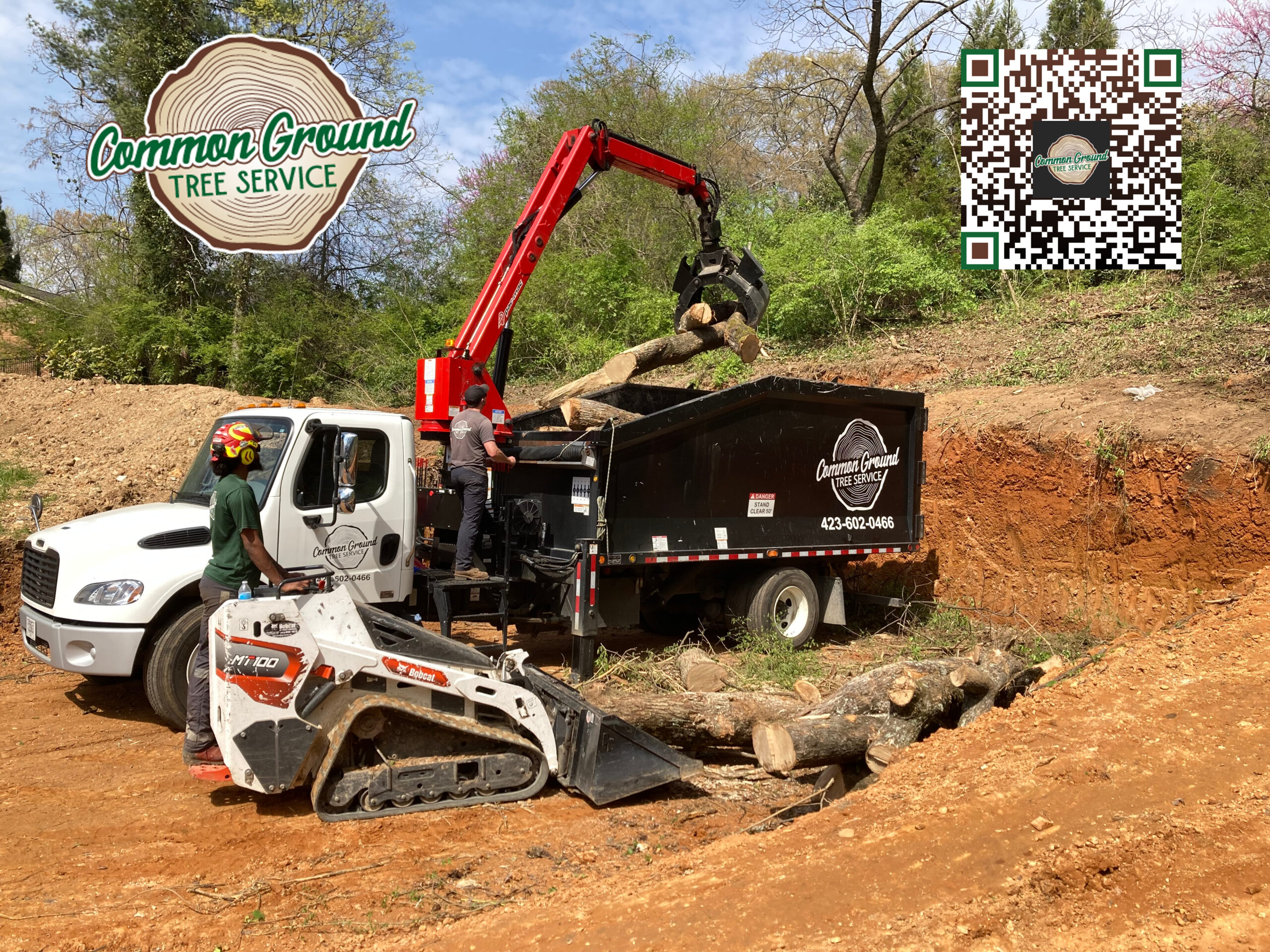 Chattanooga Tree Service