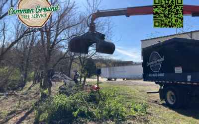 How Does Chipper Brush Size Affect Performance