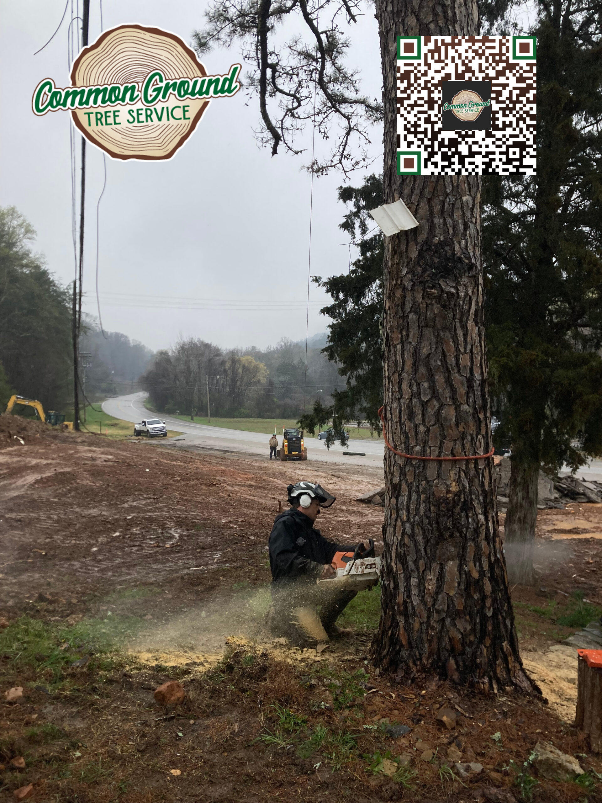 Tree Removal Chattanooga