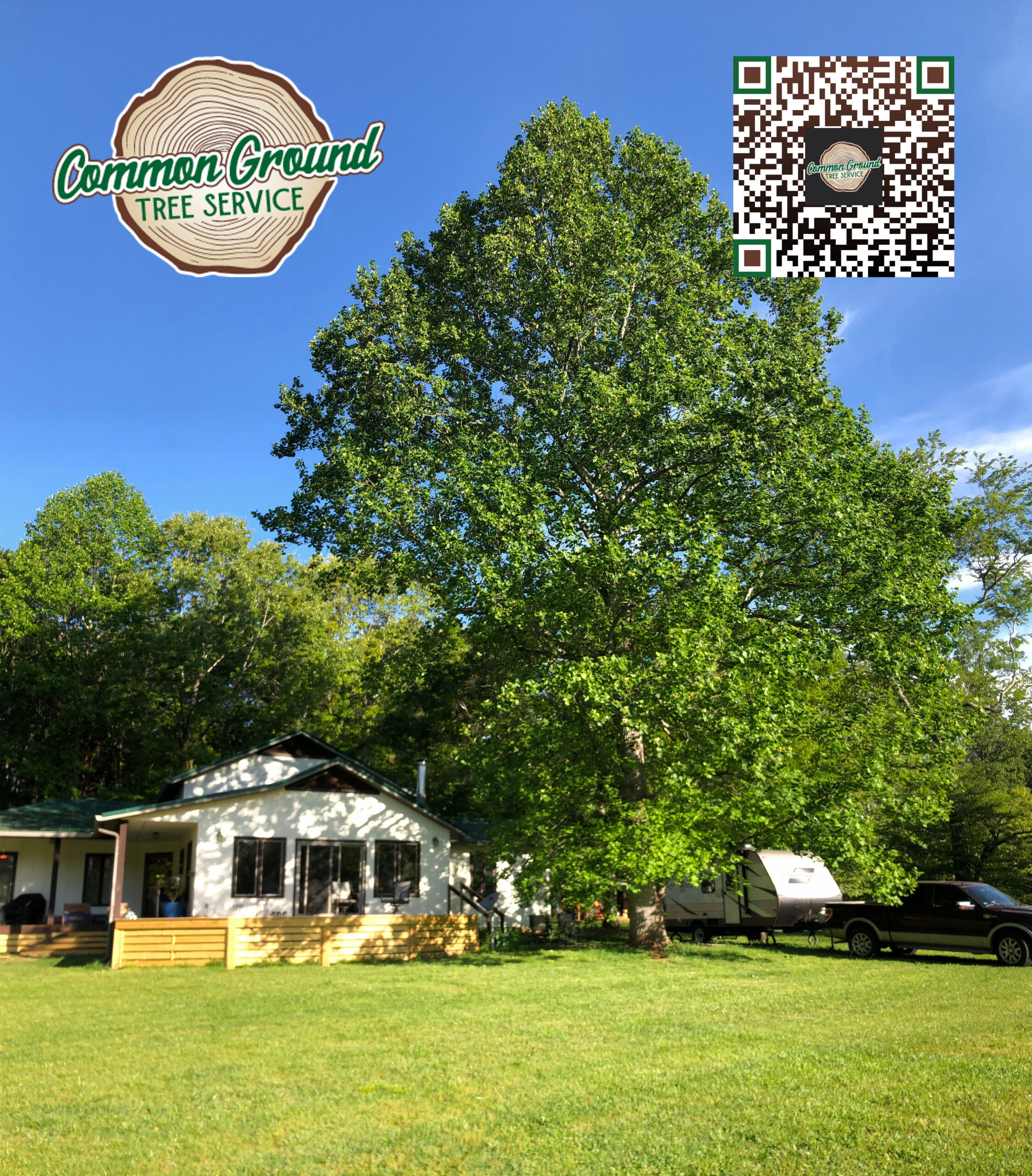 Tree Service Chattanooga Tree Service Chattanooga