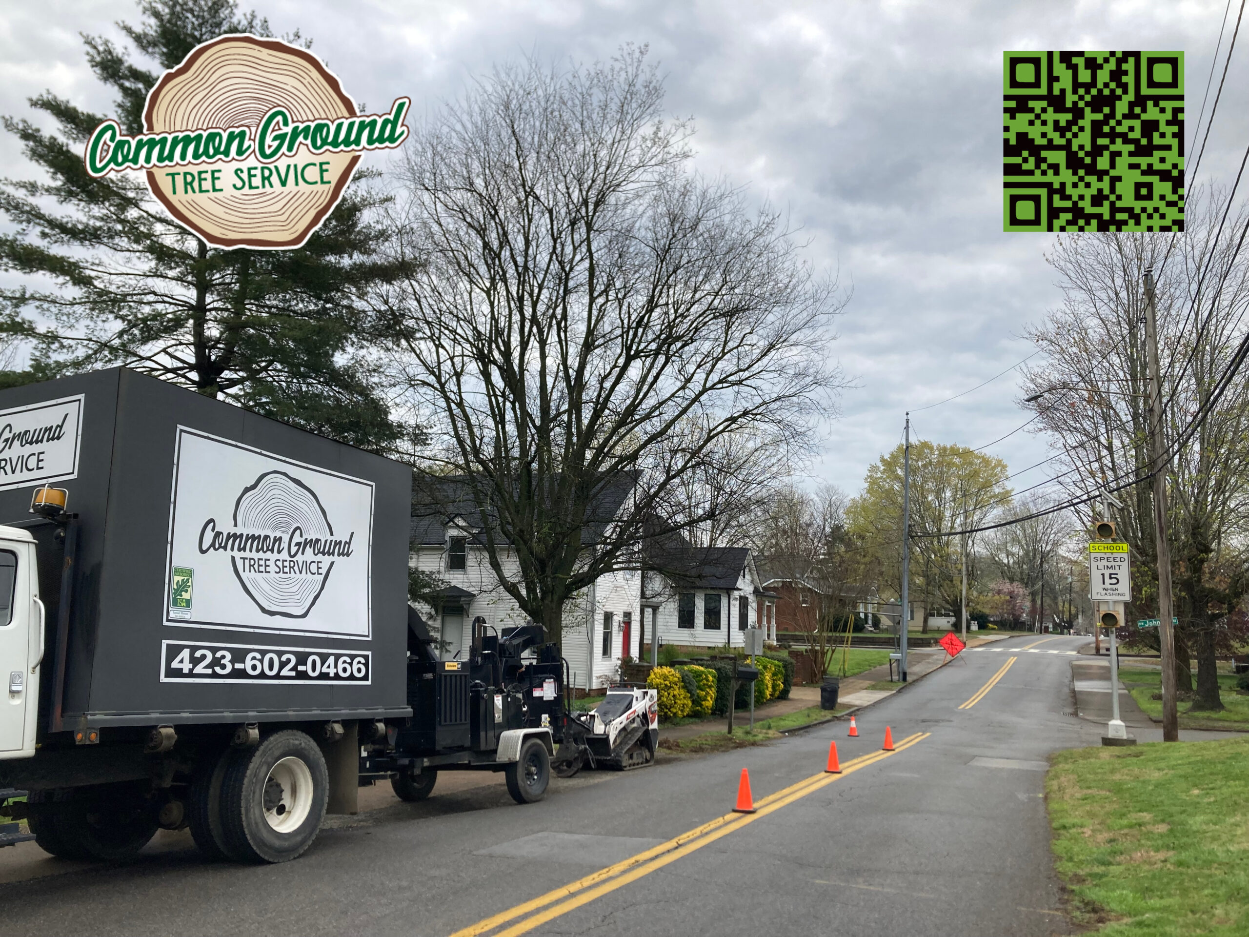 Tree Trimming Chattanooga Tree Trimming Chattanooga