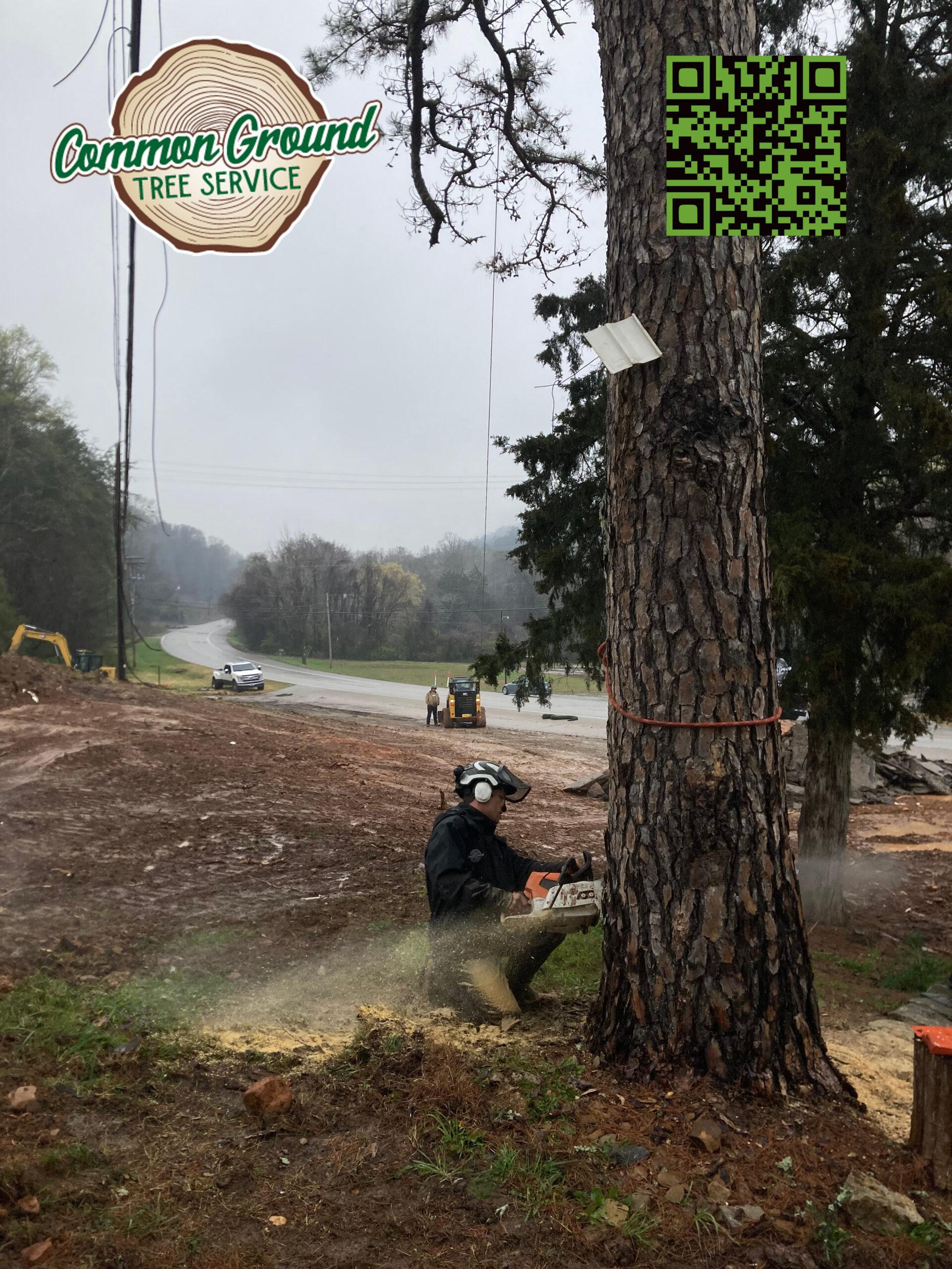 Tree Removal Chattanooga