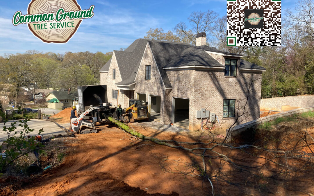 What Are the Long-Term Effects of Stump Grinding on Soil Health