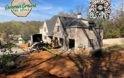 What Are the Long-Term Effects of Stump Grinding on Soil Health