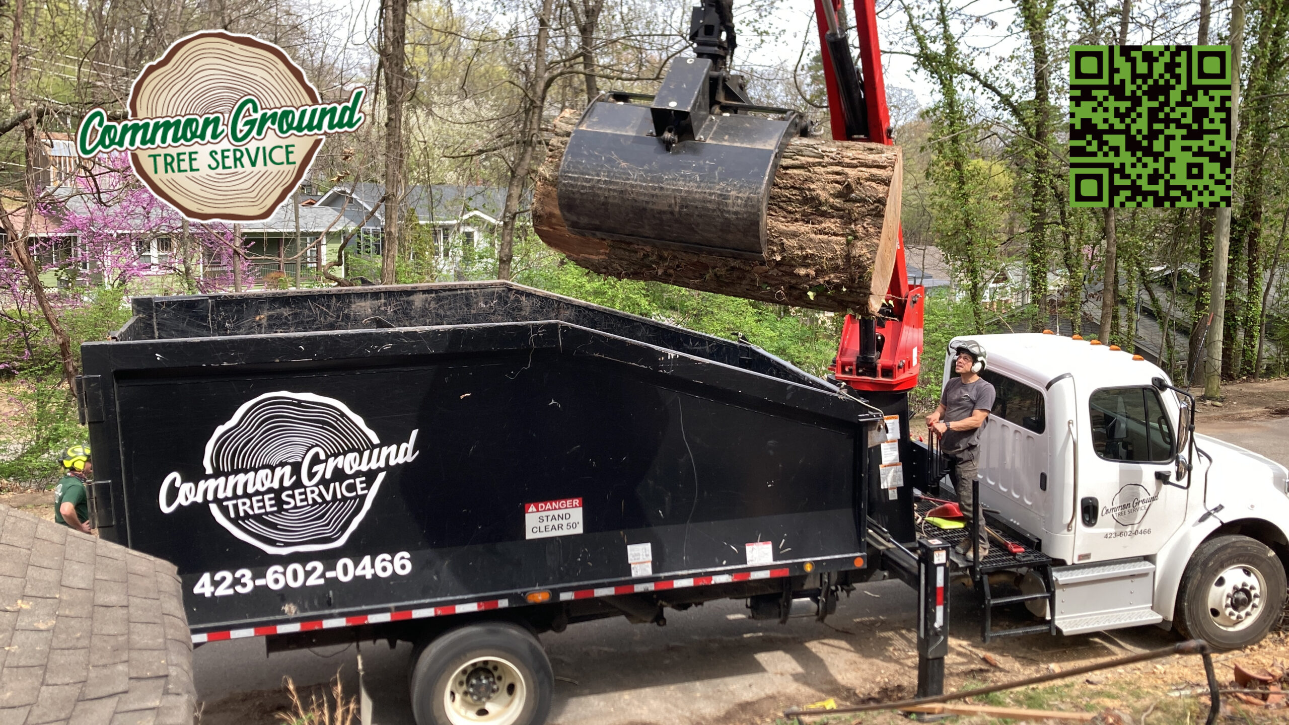Chattanooga Tree Service