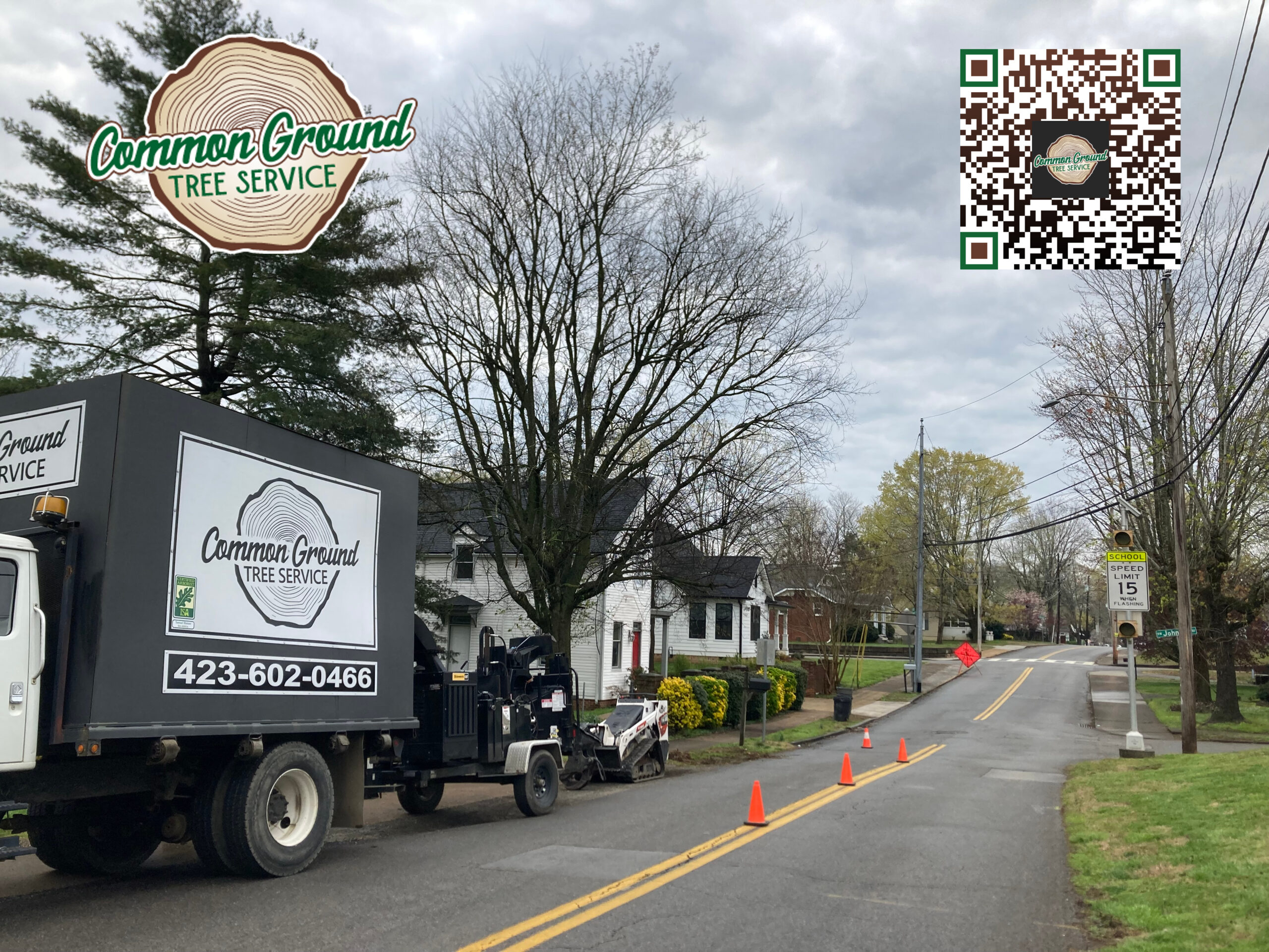 Tree Trimming Chattanooga