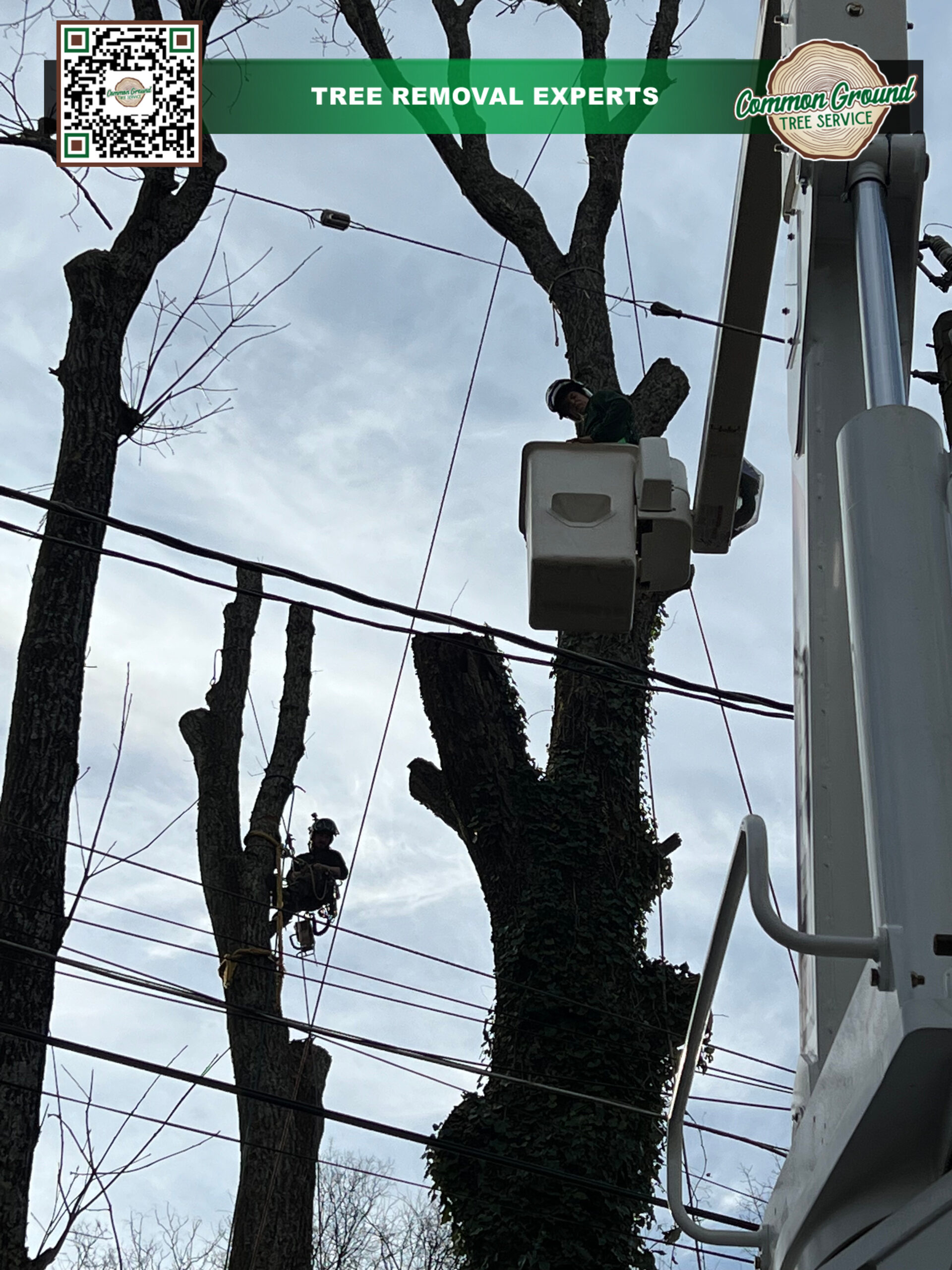 Crane Service Chattanooga