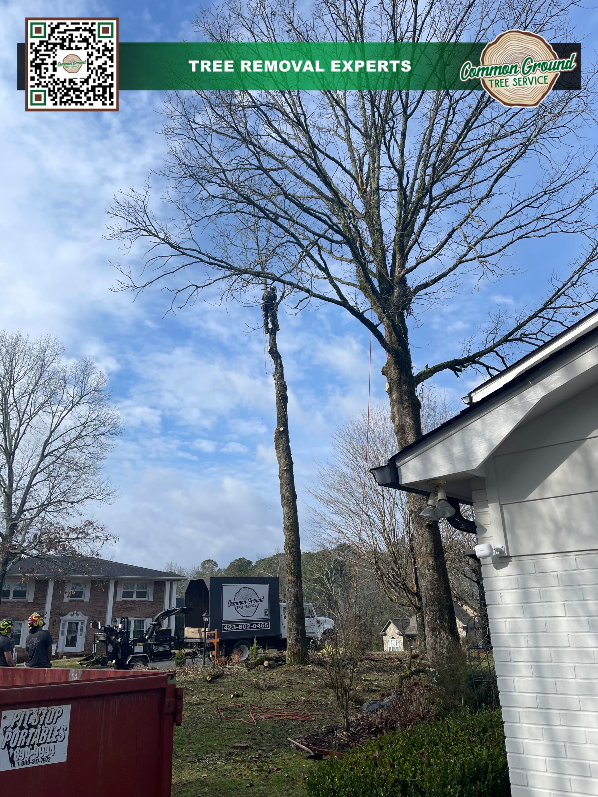 Tree Maintenance Chattanooga Tree Maintenance Chattanooga