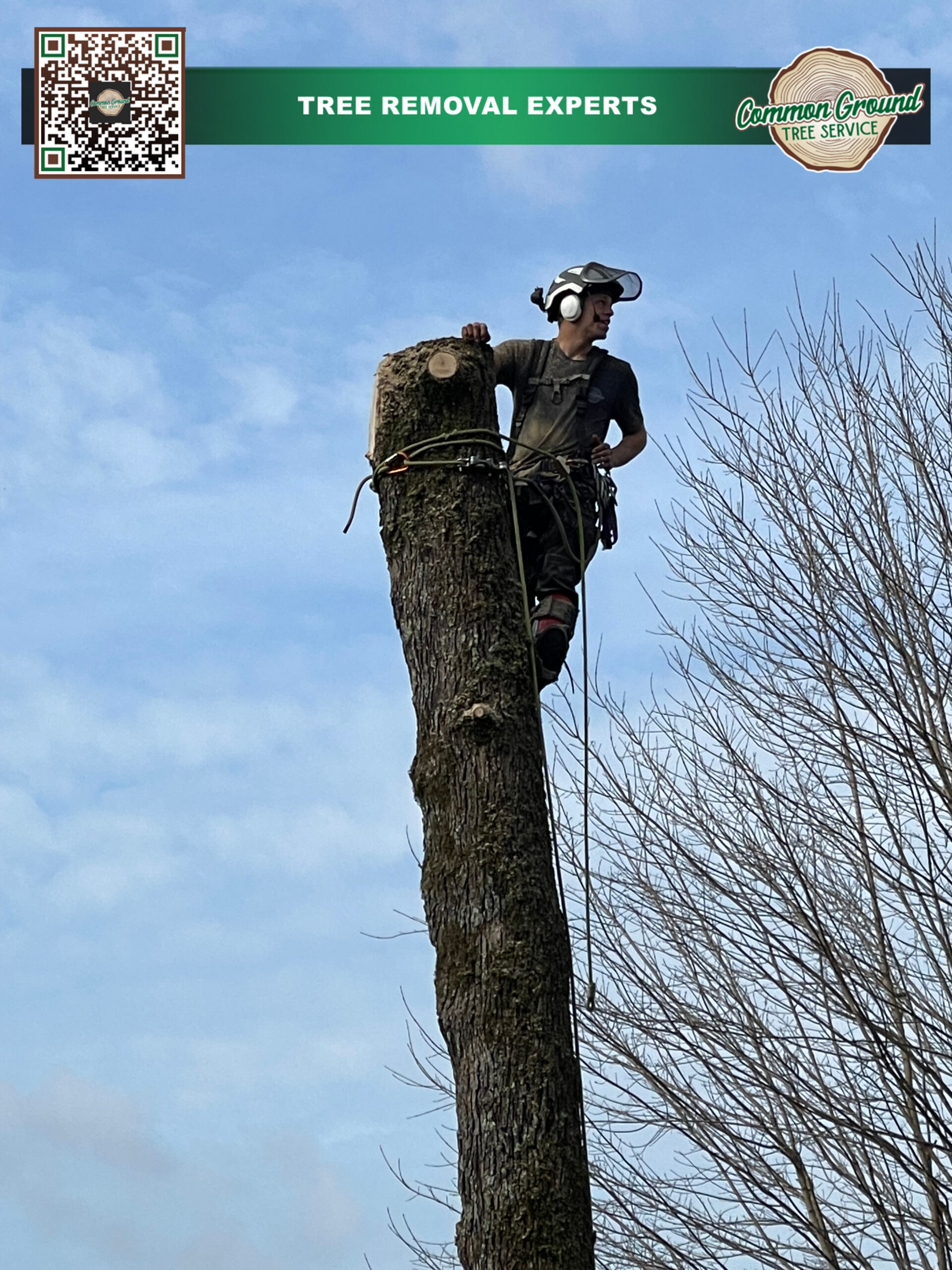 Tree Removal Chattanooga