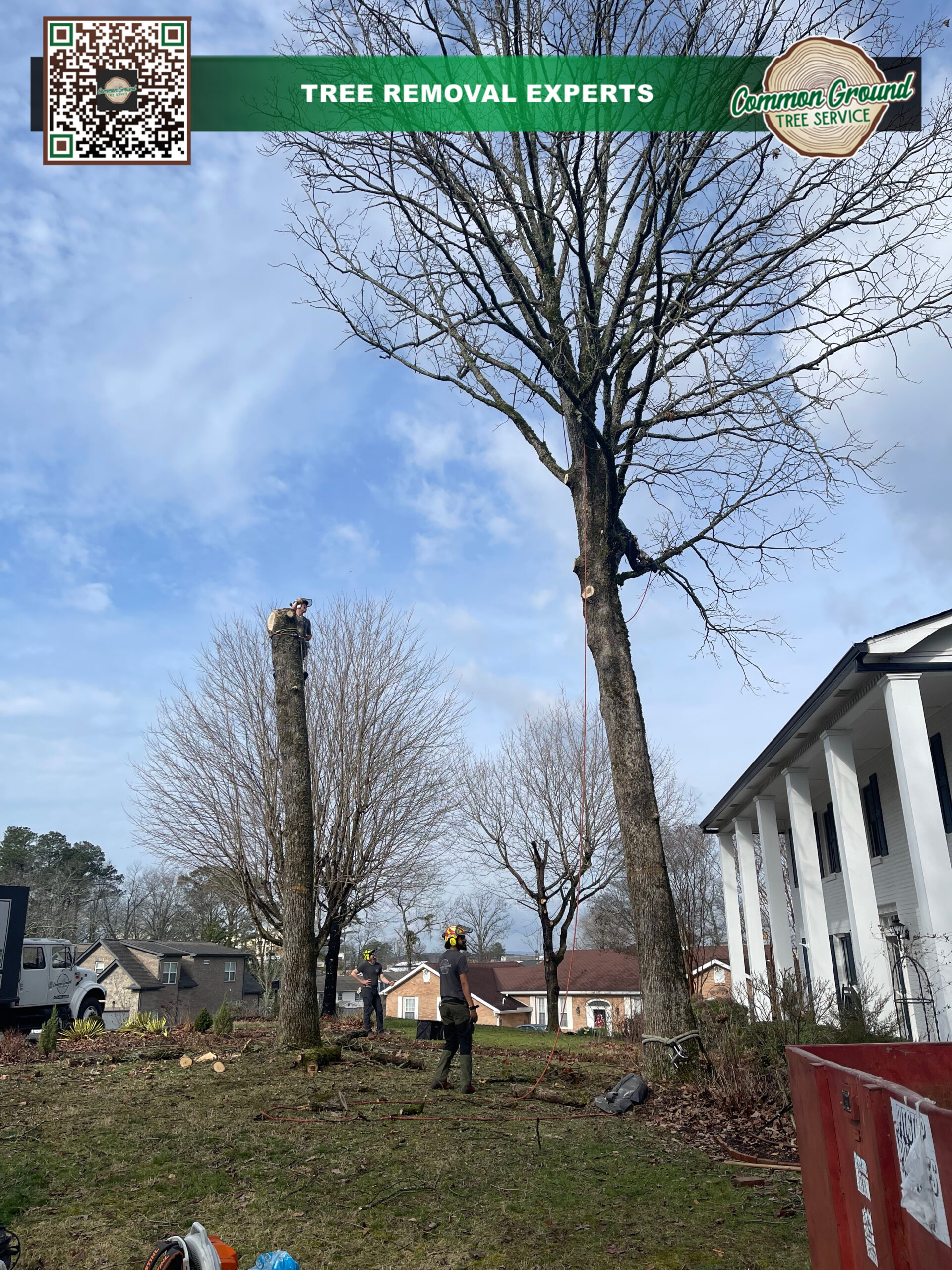 Tree Service Chattanooga