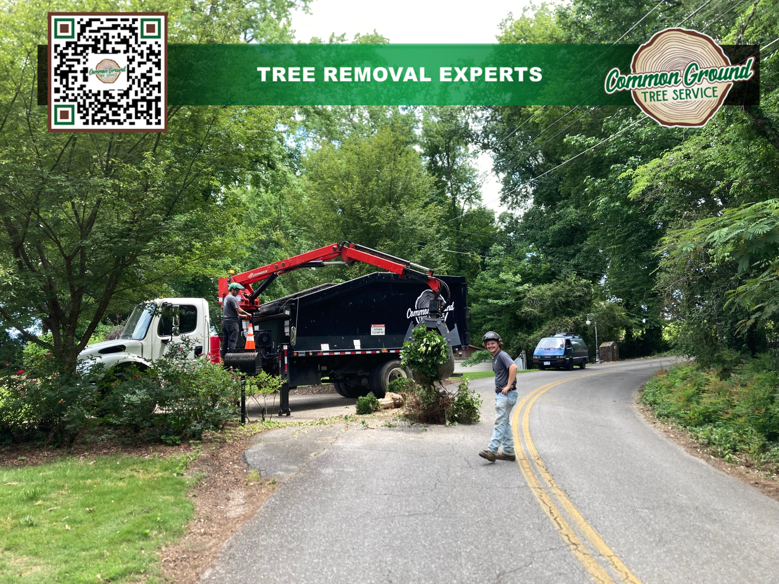 Chattanooga Tree Service
