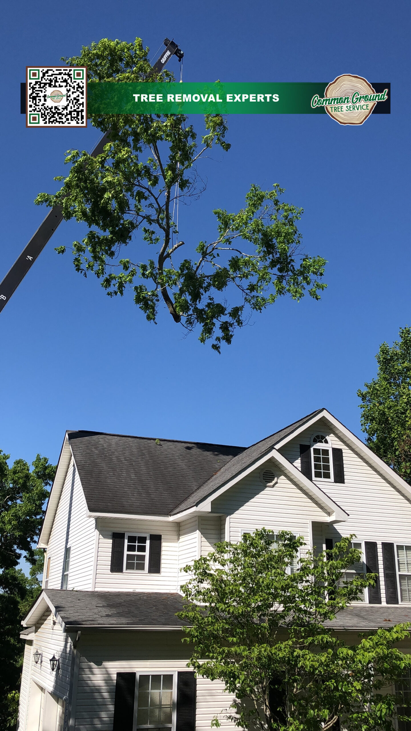 Crane Service Chattanooga Crane Service Chattanooga