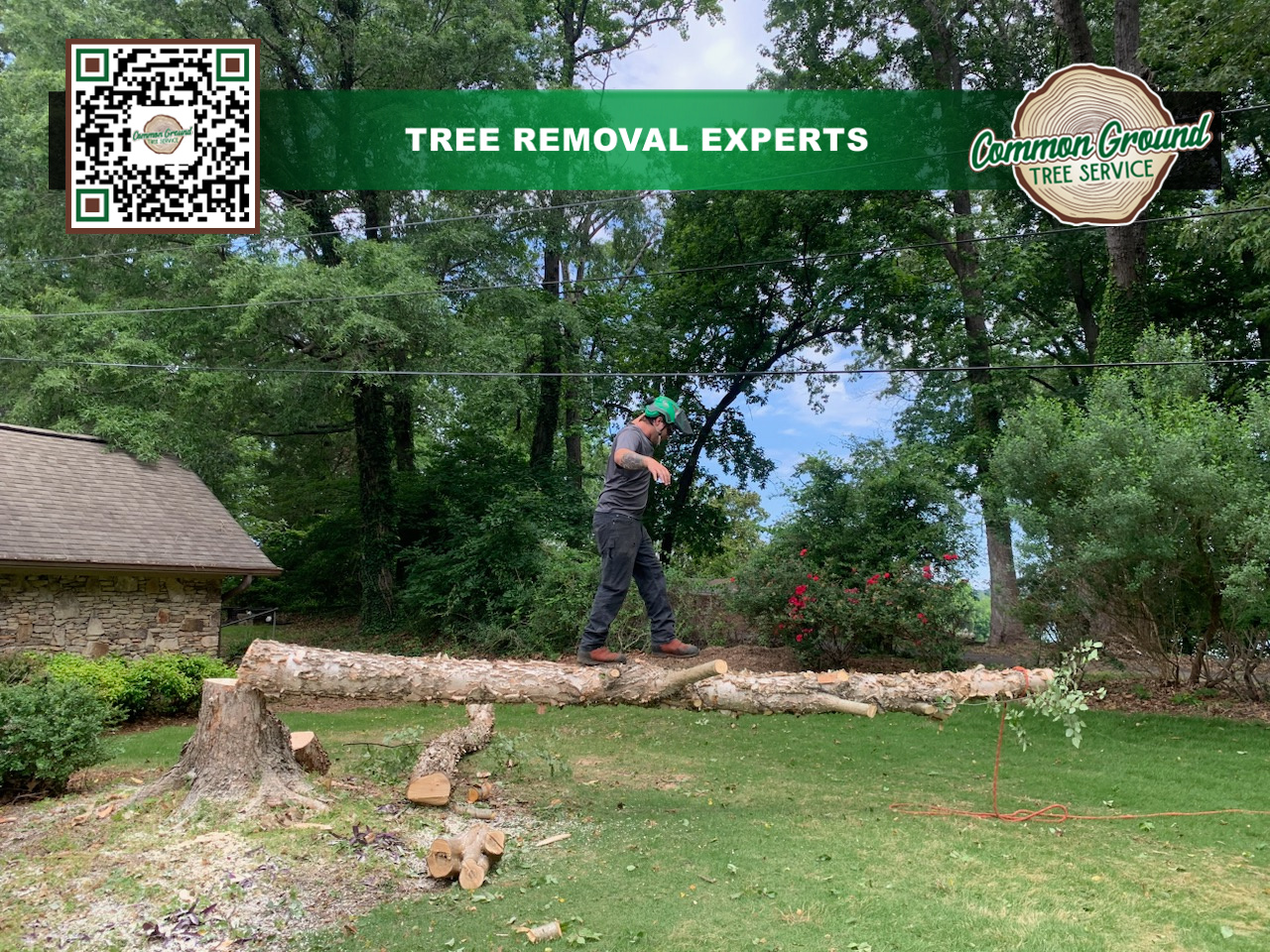 Stump Grinding Chattanooga