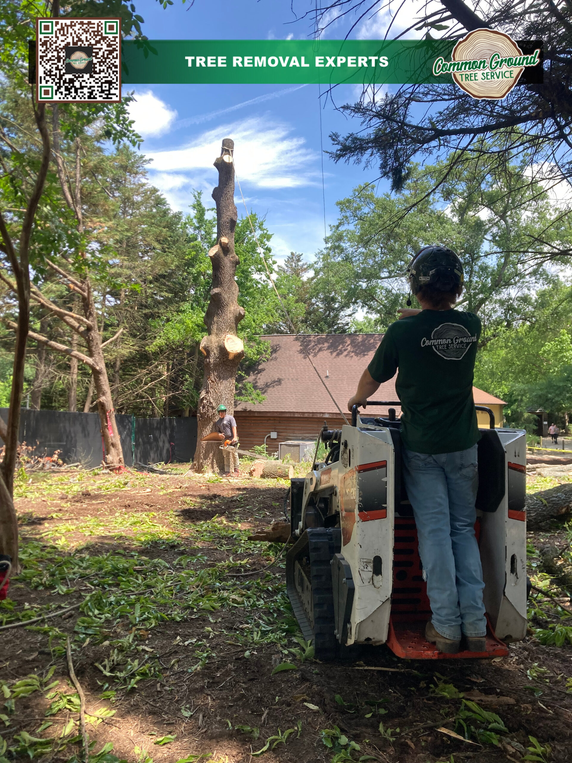 Tree Maintenance Chattanooga 1 Tree Maintenance Chattanooga 1