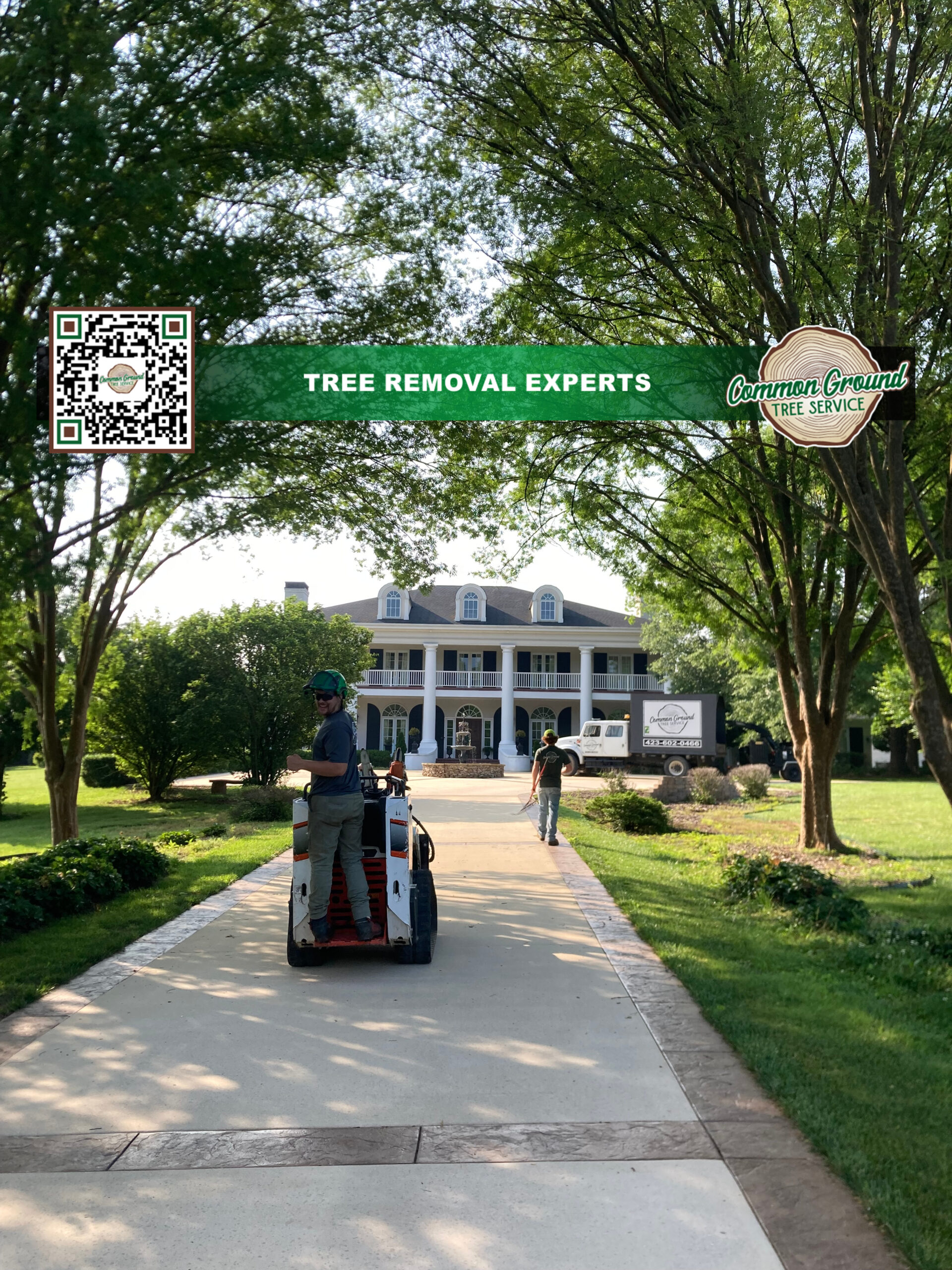 Tree Maintenance Chattanooga