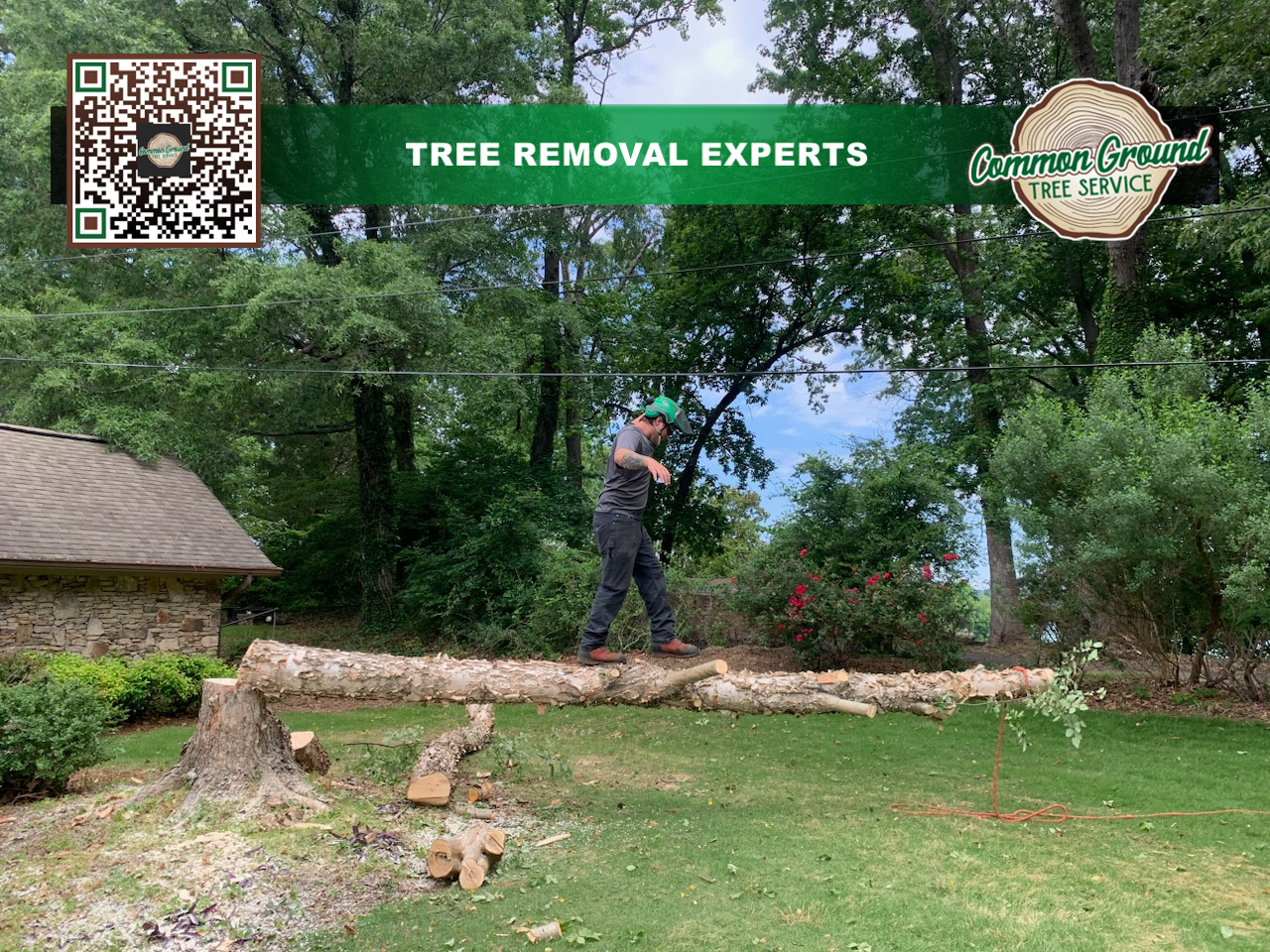 Tree Removal Chattanooga 1 Tree Removal Chattanooga 1